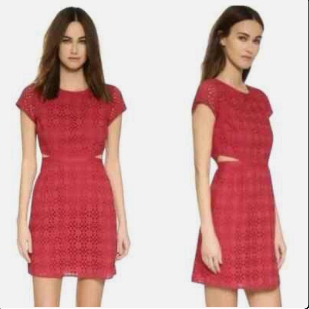 Madewell Burgandy Eyelet Mini Dress